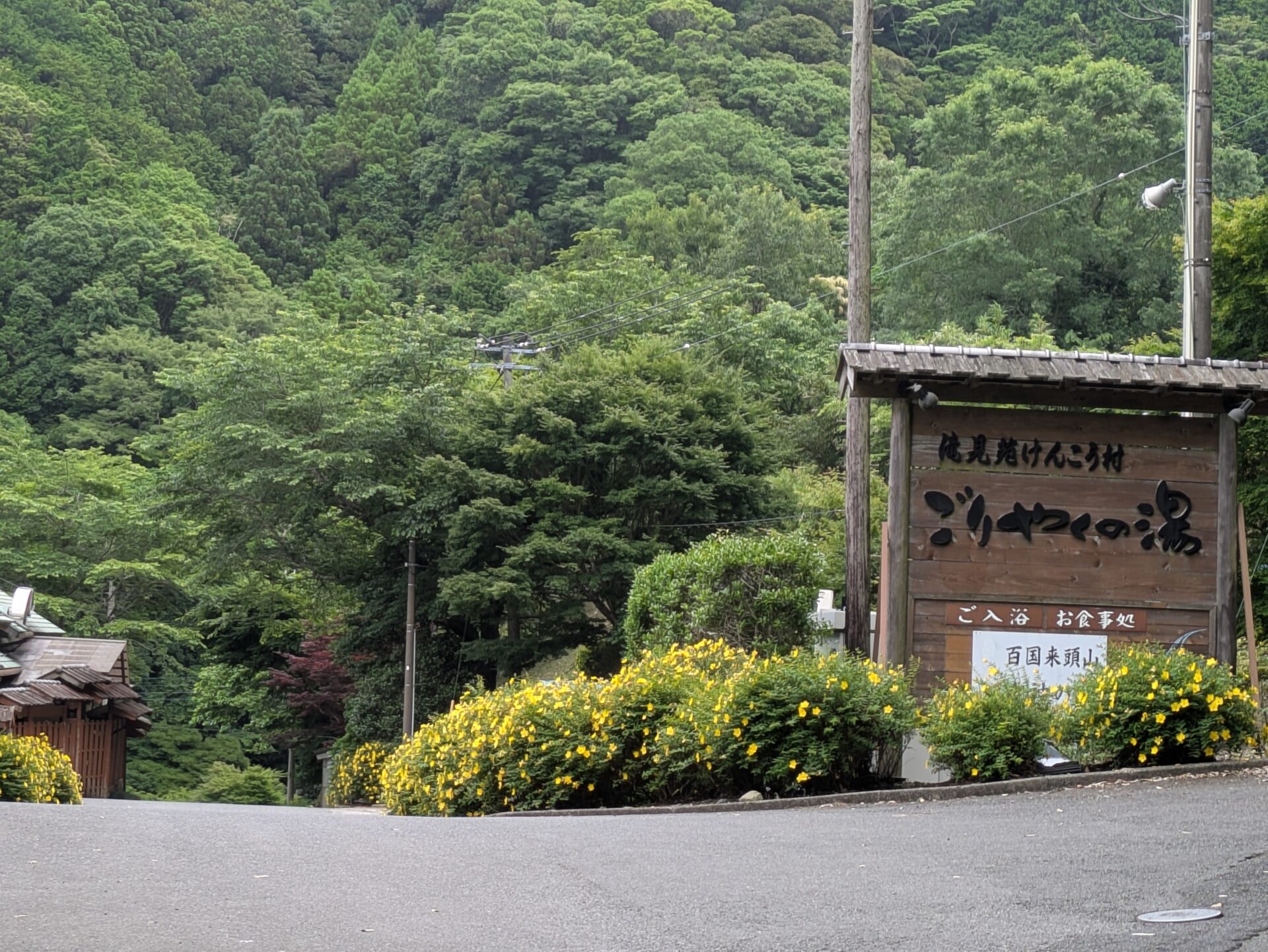 ごりやくの湯入口の金糸梅