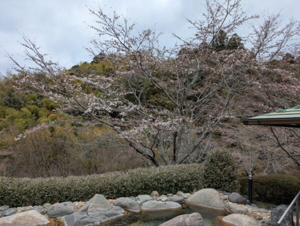 男露天風呂から